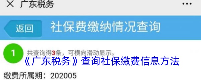 《廣東稅務(wù)》查詢社保繳費(fèi)信息方法