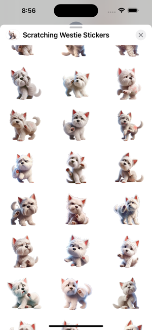 Scratching Westie StickersiPhone版