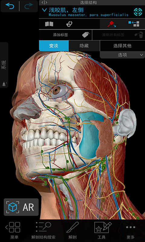 3D人體解剖鴻蒙版