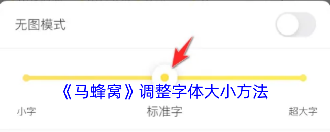 《馬蜂窩》調(diào)整字體大小方法