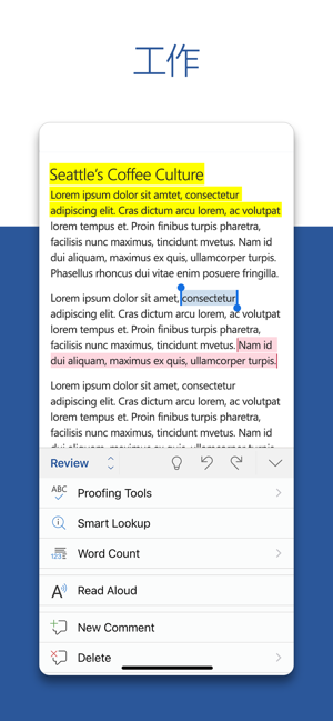 MicrosoftWordiPhone版