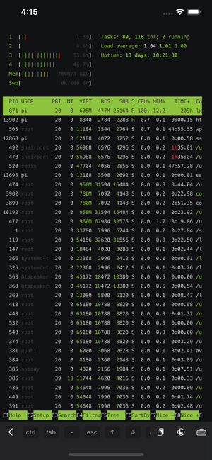 ServerCatiPhone版