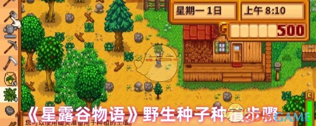 《星露谷物語》野生種子種植步驟