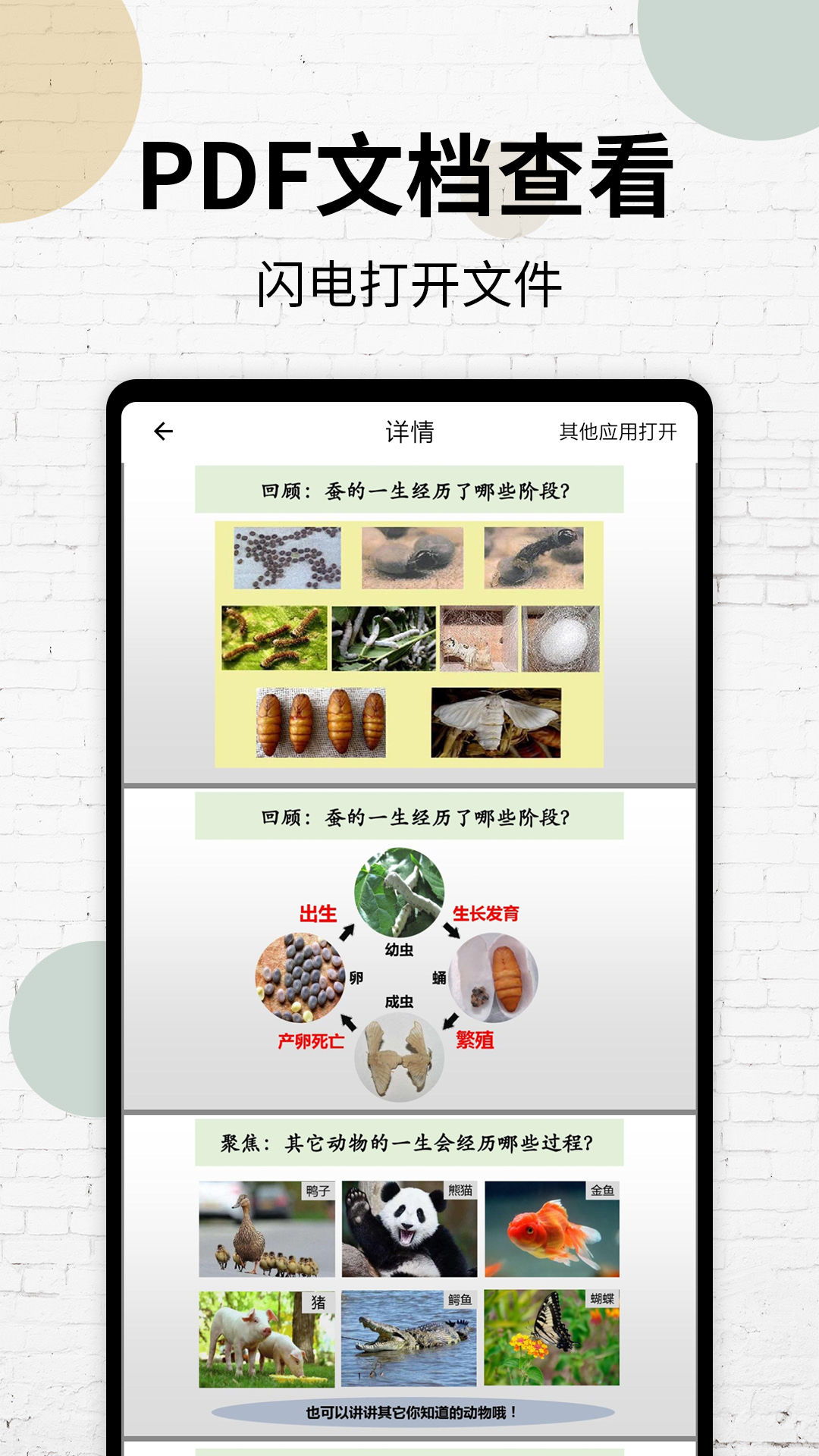 PDF閱讀器