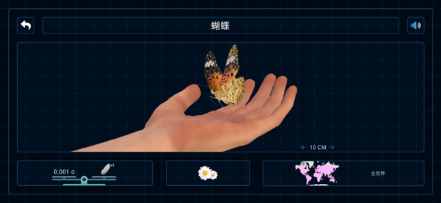 昆虫和蜘蛛儿童教育AR游戏iPhone版
