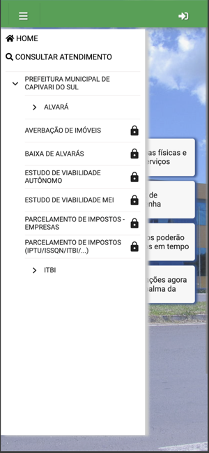 Capivari Do Sul Serviço OnlineiPhone版