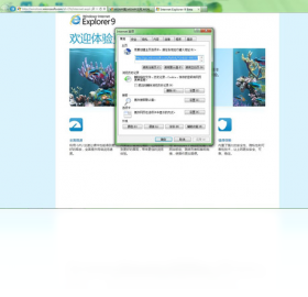 Internet Explorer 9PC版