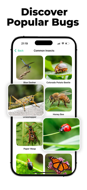 Bug Finder: Identify InsectiPhone版