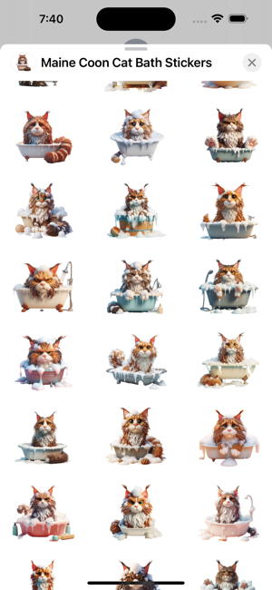 Maine Coon Cat Bath StickersiPhone版