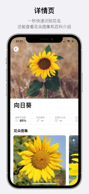 这是什么花iPhone版