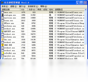 長生進程管理器PC版