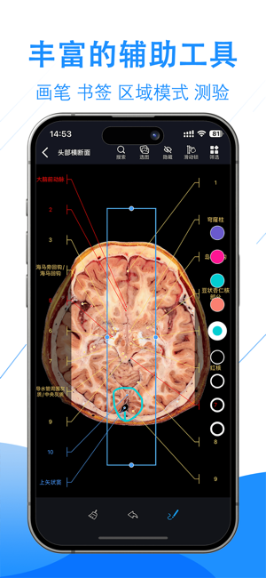 影像解剖图谱iPhone版