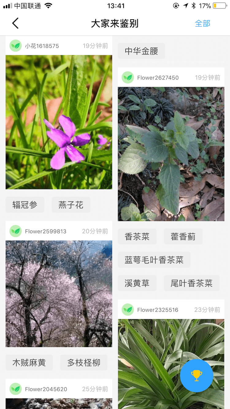 花伴侶