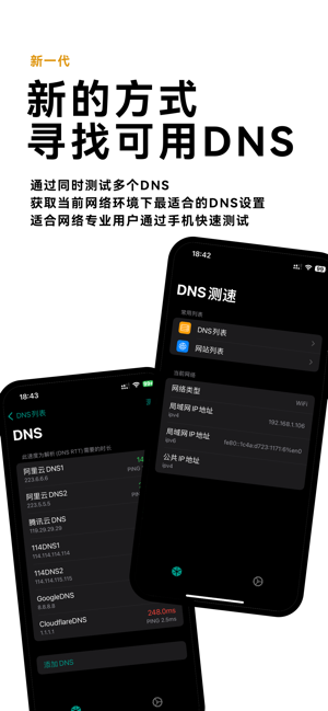 DNS测速‬iPhone版