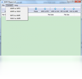 AMR PlayerPC版