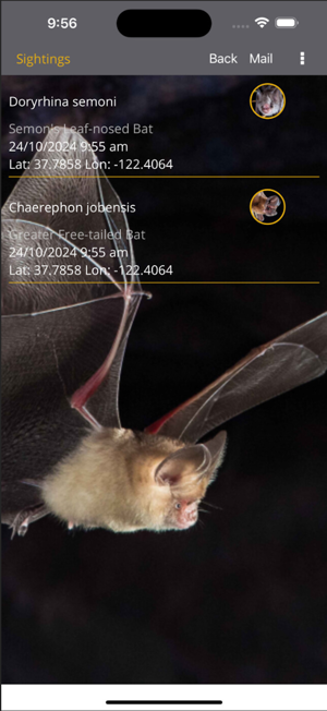 Field Guide to Australian BatsiPhone版