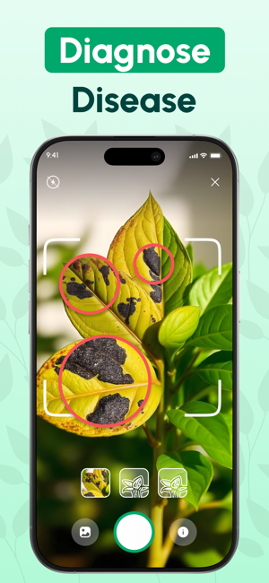 植物识别iPhone版