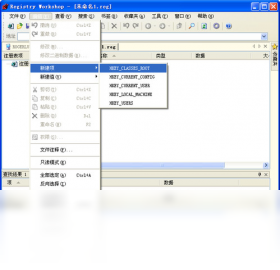 Registry WorkshopPC版