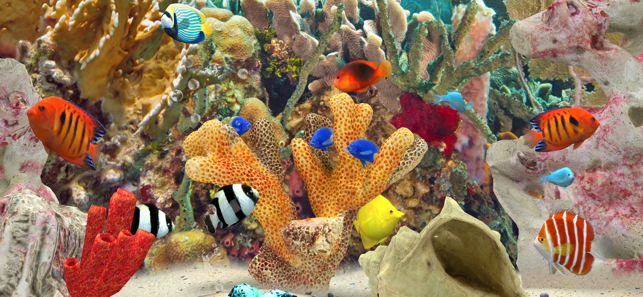 MyReef3DAquarium3iPhone版