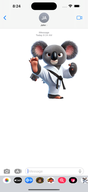 Kung Fu Koala StickersiPhone版