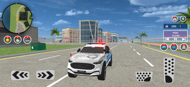 City Police Car Chase GamesiPhone版