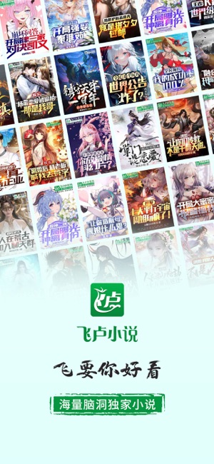 飛盧小說iPhone版