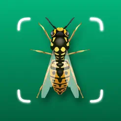 Bug Finder: Identify InsectiPhone版