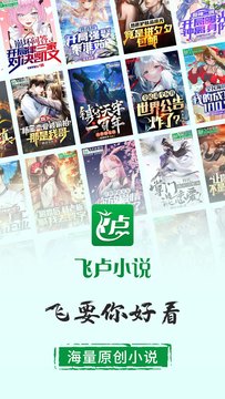 飛盧小說