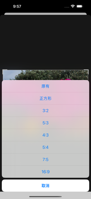 裁圖大師iPhone版