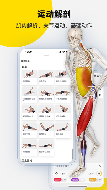 3DBody解剖鸿蒙版