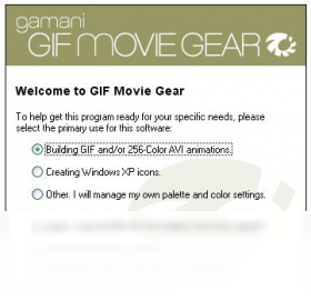 GIF Movie GearPC版