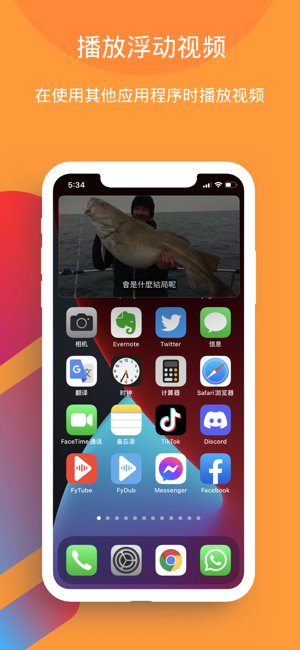 FyTubeiPhone版