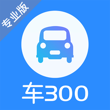 車(chē)300專業(yè)版