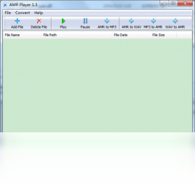 AMR PlayerPC版