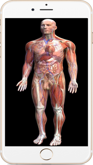 全套人体解剖‬iPhone版