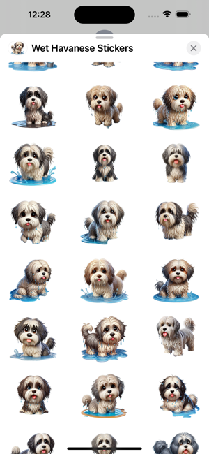 Wet Havanese StickersiPhone版