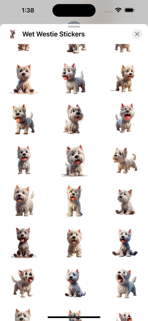 Wet Westie StickersiPhone版