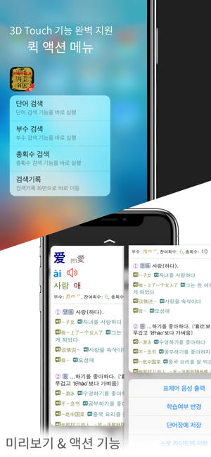 고려대중한중사전iPhone版