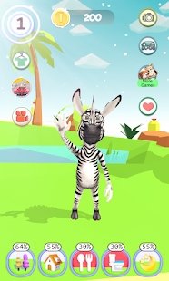 Zebra宠物斑马