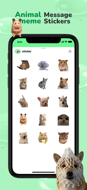 Message stickers : animal memeiPhone版