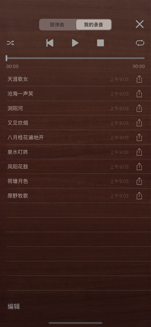 iGuzheng⁺iPhone版