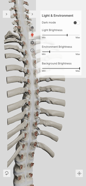 BiomechanicsoftheSpineLiteiPhone版