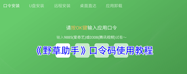 《野草助手》口令码使用教程